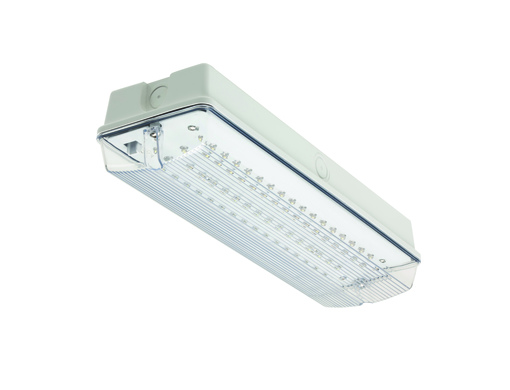 LED Bulkhead Maintained Emergency Light (Luminaire)